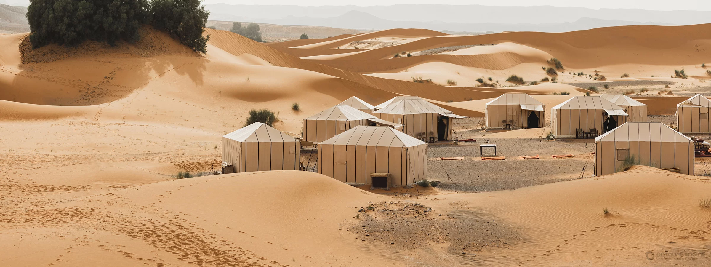 Арабские лагеря в пустыне ОАЭ. Рассказываем про особенности типа размещения 2023